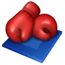 Boxing Betting